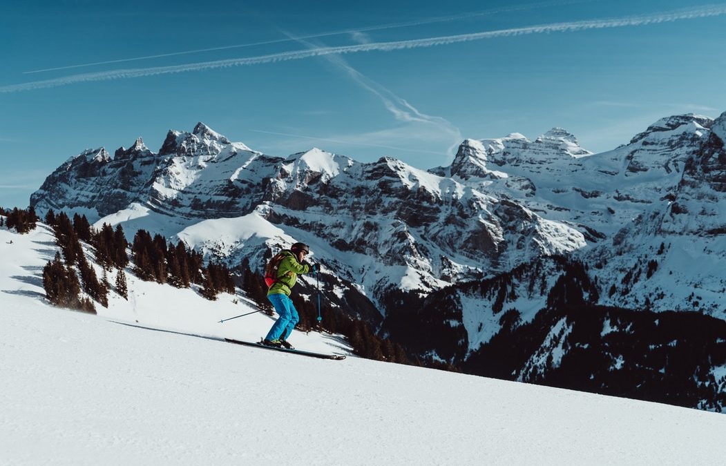 New for 2019… SKOGA!