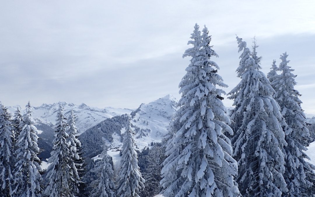 Lift Pass Discounts in The Portes du Soleil