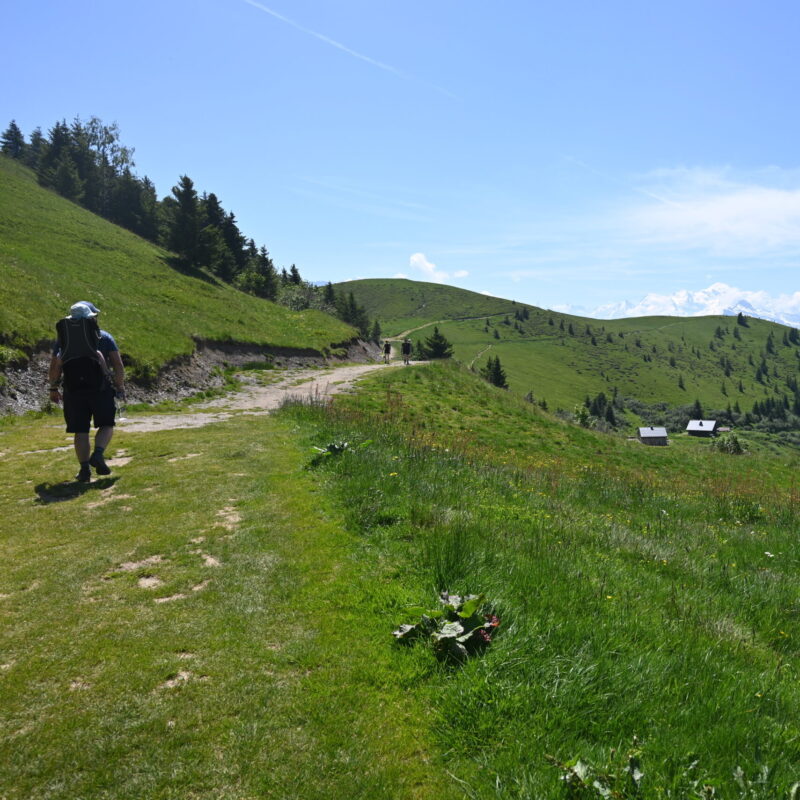 DSC_1229 Montriond village