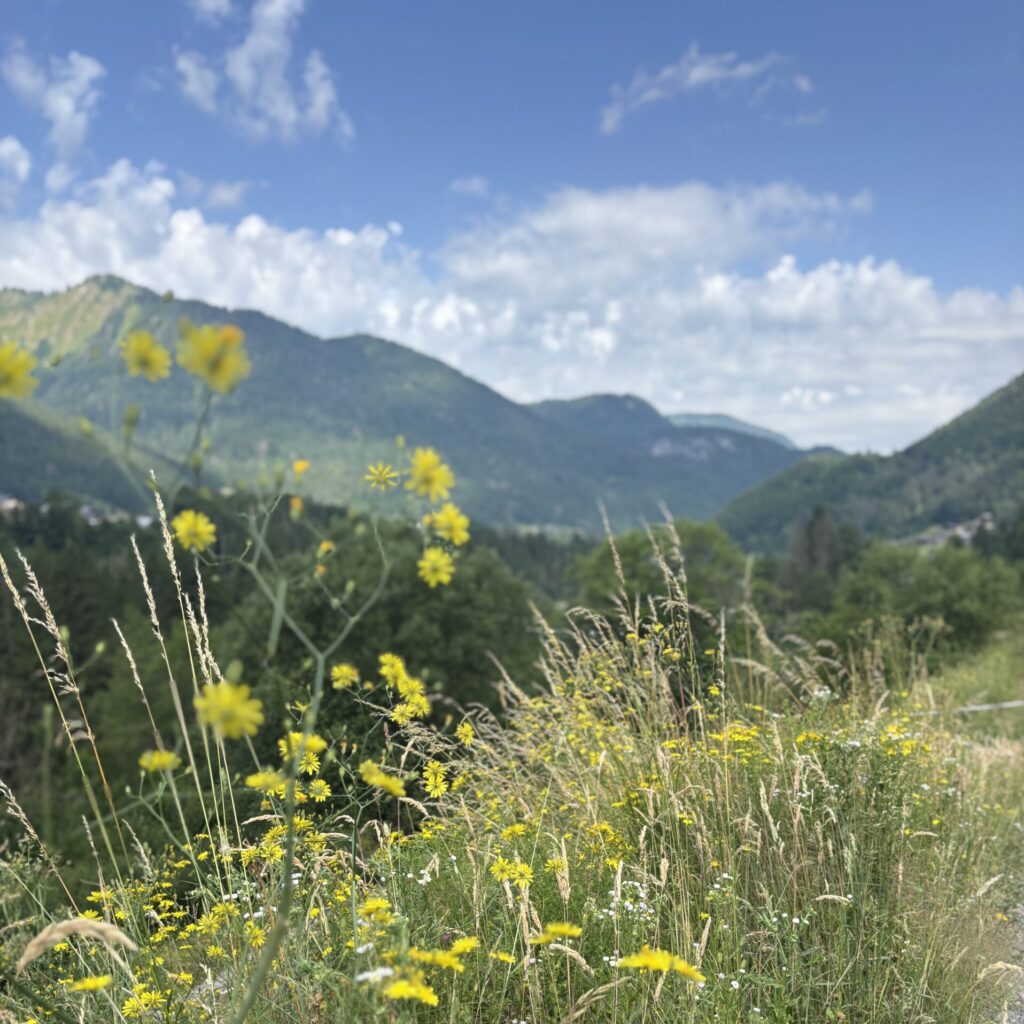 Montriond village